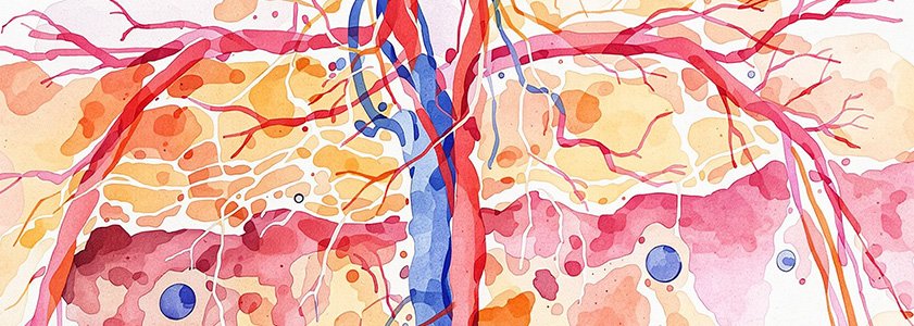 An abstract illustration of the complex blood vessels inside the human body.